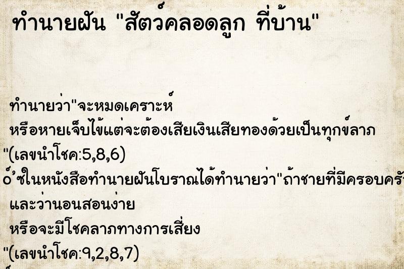 ทำนายฝันสัตว์คลอดลูกที่บ้าน ทำนายฝันทำนายฝันสัตว์คลอดลูกที่บ้าน